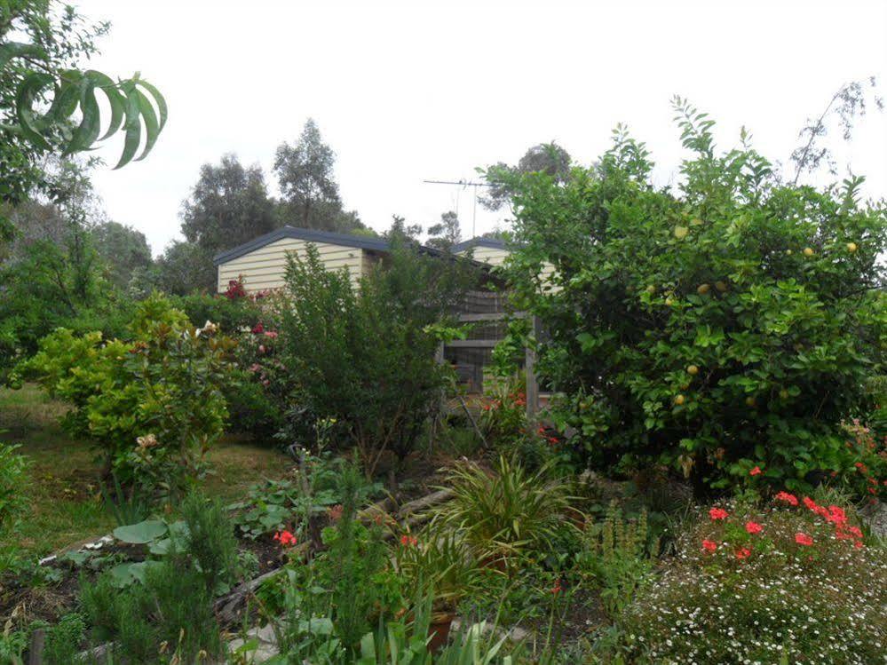 Australian Home Away @ Wonga Park Brushy Creek Ngoại thất bức ảnh